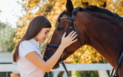 Accueil - Maïka Filsack : Kinésiologue en Essonne 91 HORSE VIBES